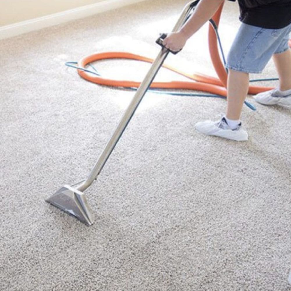 AREA RUG CLEANING