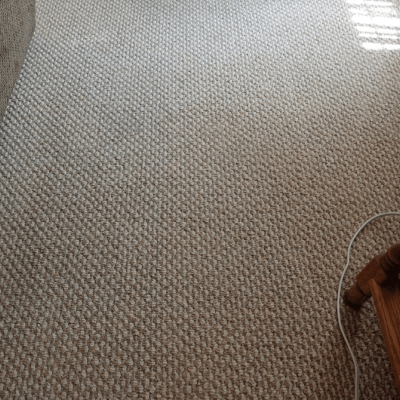 STAIN REMOVAL