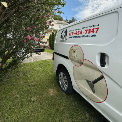 PET STAIN REMOVAL